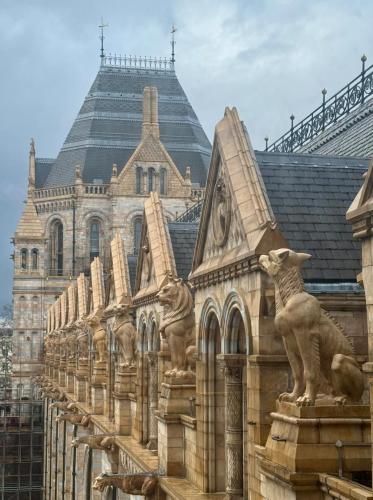 RDT_20260215_1605041323630380314241024