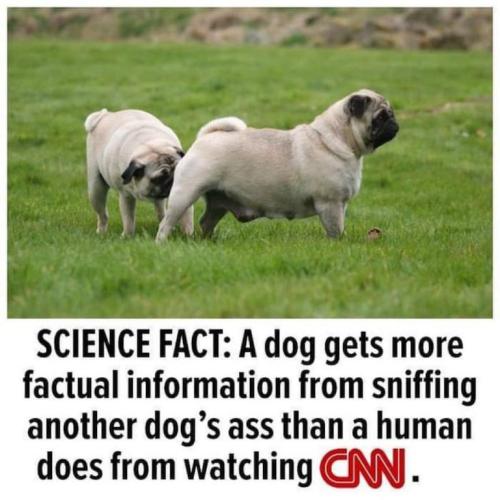 ec2985ce3cce242cfc6811977fc71336_768x0