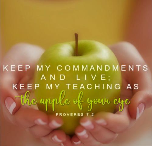 Screenshot_20260204-101524-500~2