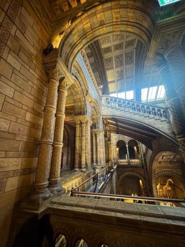 RDT_20260215_1606291598060919229841409