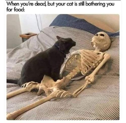 b1905e31-596a-417d-966f-4e223ad3171e