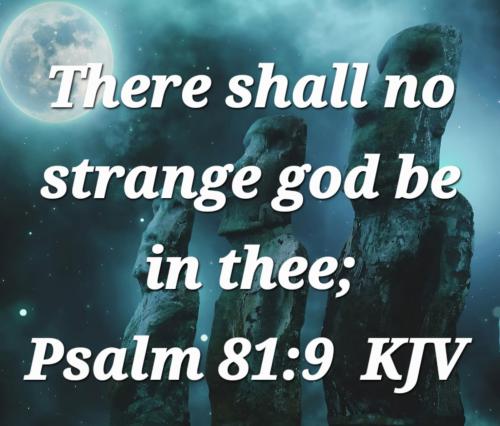 aeb96f20-30fe-48e1-a26b-532df2bcfc03