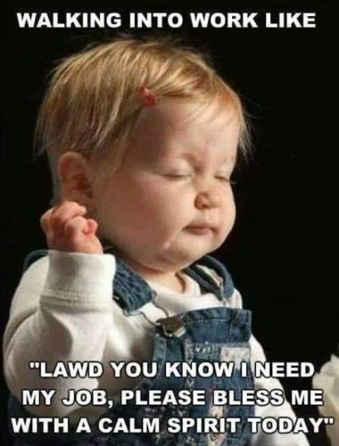 Screenshot_20260204_070005_Gallery