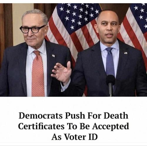 image_660894B1-331A-4F99-84C8-2EABA6C8D629