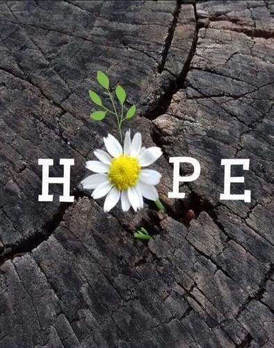 TESTHUB_photos_users_KPBY8Tc46ldqLjWXf6bqxqOW3AR2_-Om6pB-GC62pE8lncpY9_img_rsz__1100x1100