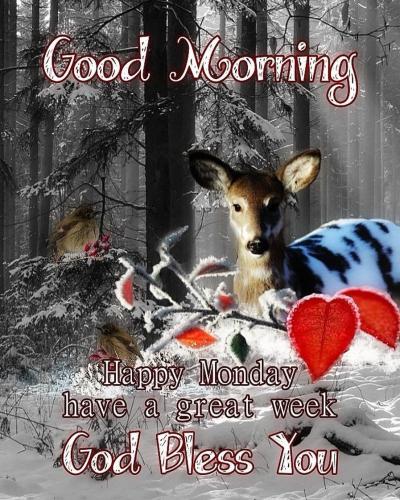 626804875_18040530122743683_419769319638381310_n