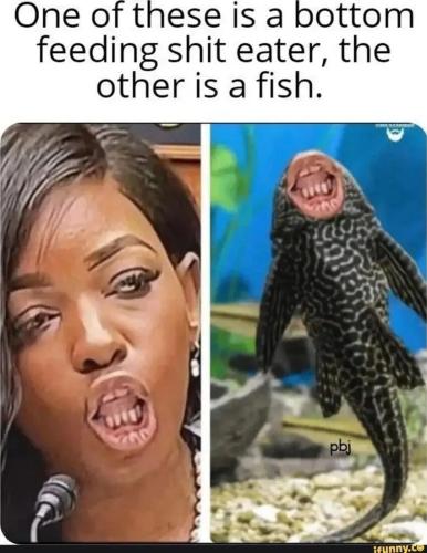 TESTHUB_photos_users_dw0pOp7g37bwd6WdIBpiG4LkOcL2_-OlnDkShuBeieCOlTmGh_img_rsz__1100x1100