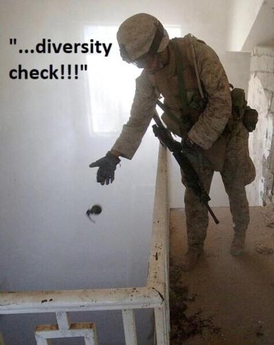 Diversity check.768px