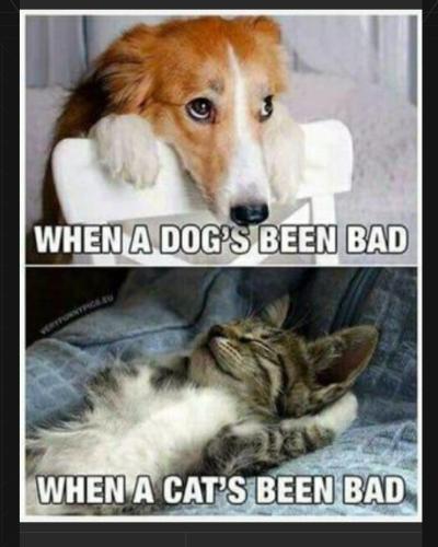 Screenshot_20260131_203952_MeWe