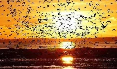 59e6c456-bea6-4f45-9286-941dd781f70b