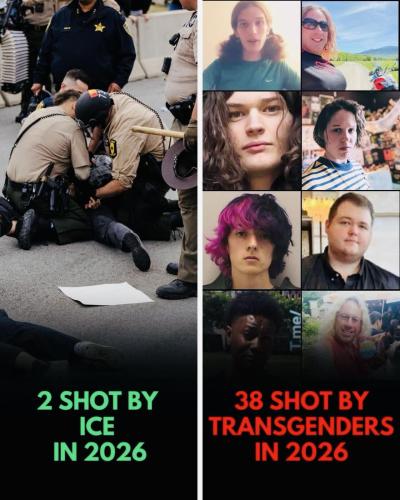 image_612CDCBD-9CE9-4140-85EC-0CFD91A9D413