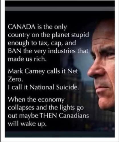 FB_IMG_1771136806820