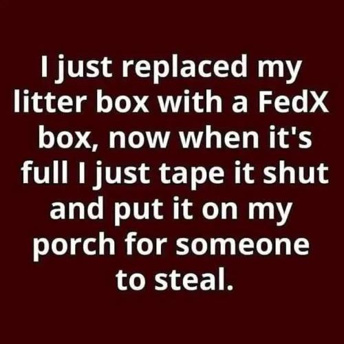 17708054511453361337715240682544_424257865644822