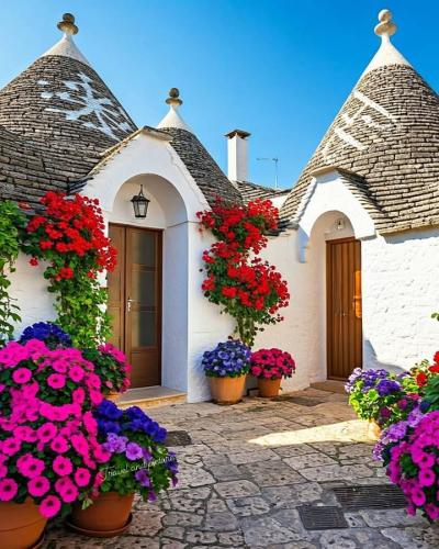 480815716_560023557057102_7376205190663150402_n