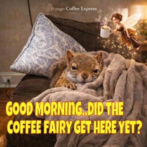 617642666_844662935283860_187251535422814702_n