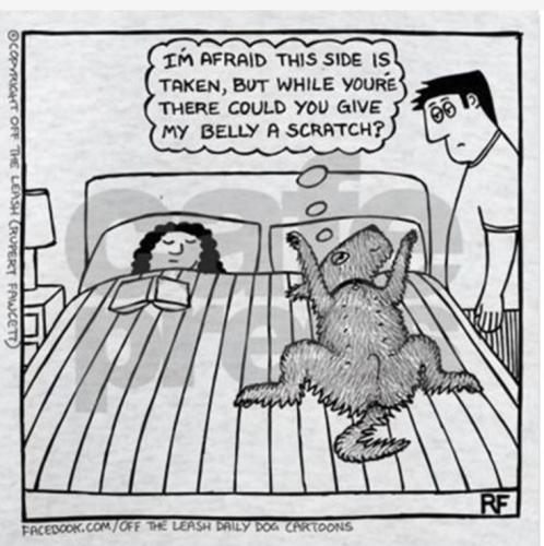 828d2200d08d9e48ca2dc904519eb51c