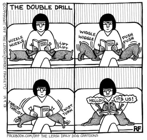 d457e463aad02ae3c5a0b7890eef8c07