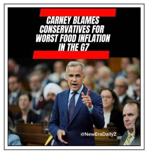 blames conservatives