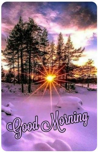 4743aac8-5f4a-490b-b400-1318ab90bad4