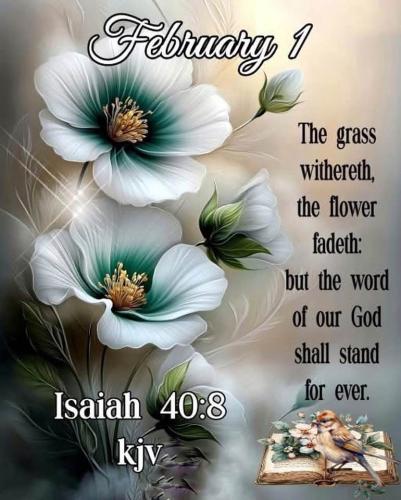 FB_IMG_1769960436893