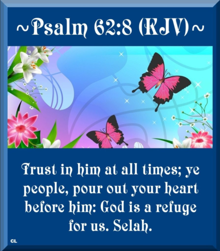 Screenshot_20260213-184833-072