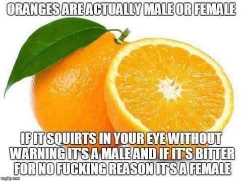 image_3798DFB7-7D35-4137-A5BF-12A87E88E869