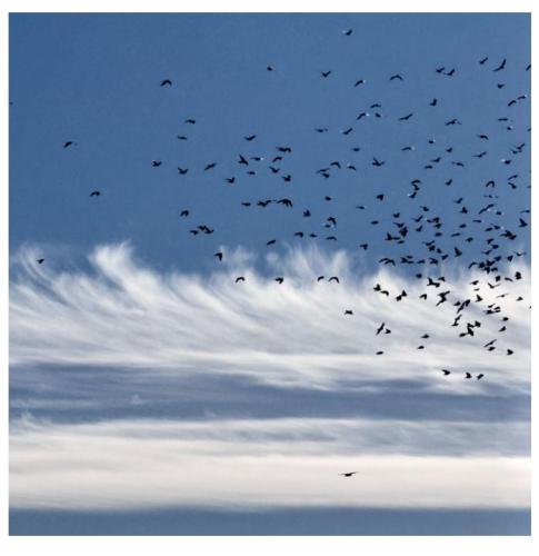 496eecc6-5cb3-444c-b504-af1d97933523