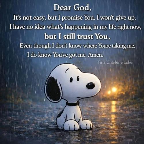 3527e846d006087717b73729f9055a7f