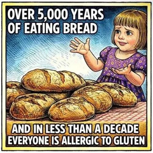 Resized_TESTHUB_photos_users_KPBY8Tc46ldqLjWXf6bqxqOW3AR2_-Oj3VFu6SnS6SutChMbW_img_rsz__1100x11