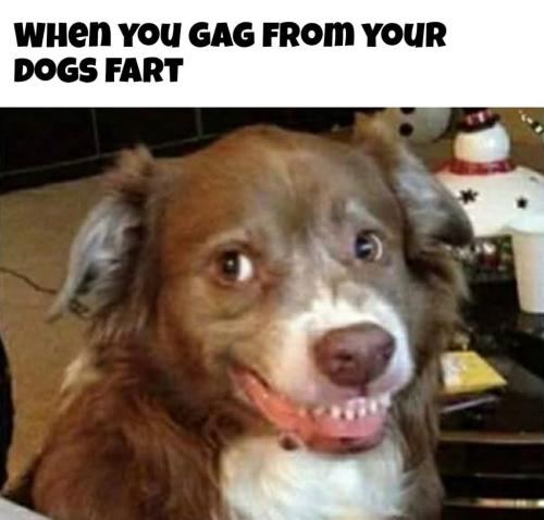 E8F86185-927F-4D52-BE28-3914C0E47420