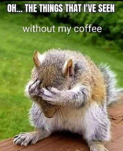 Screenshot_20260224_114352_Gallery