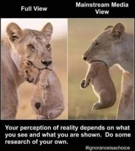 17702020200892215259053511860217_88662468331228