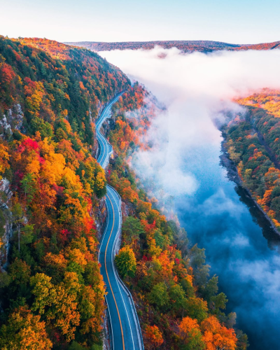 RDT_20260224_1413172794704718366483816