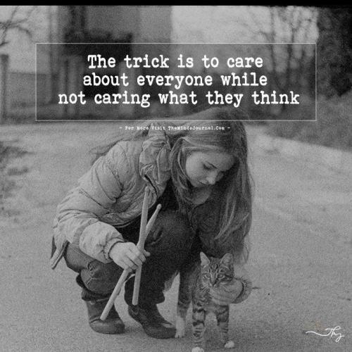 IMG_20260203_055700_513