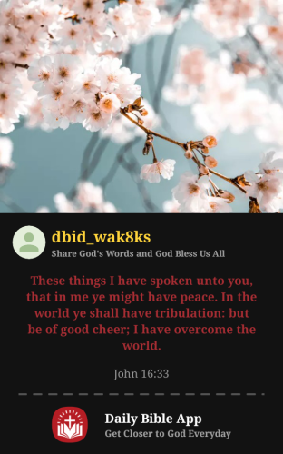 2026-02-151771178510188