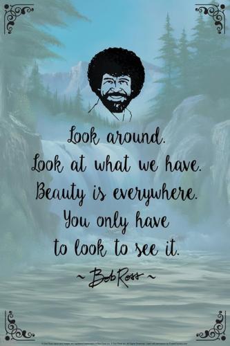 61ff2BN1roL._AC_SY879_