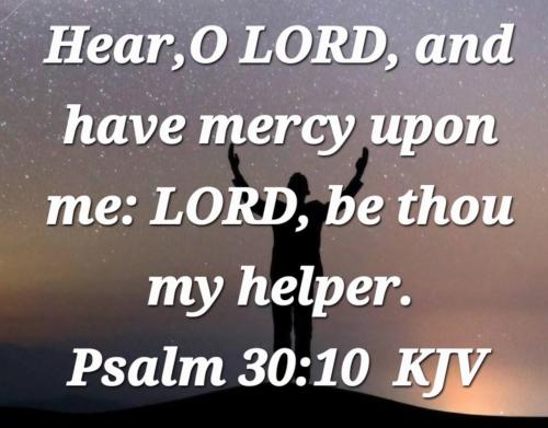 5b4e52e1-16ba-44cf-bbe0-0e32c313d133