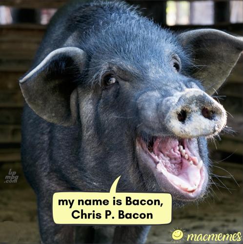 main-qimg-a3e4ecb12b4590ce932ed78595d152aa