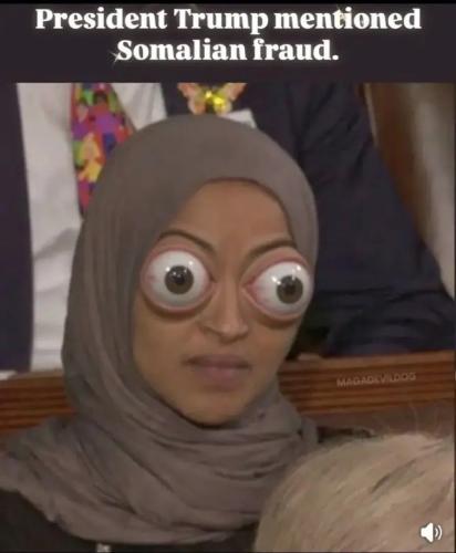 17721922905454404486040042639419_1290996478342728