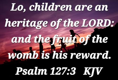 402931bf-c4ba-4b91-be4c-a1f9de0b95d5