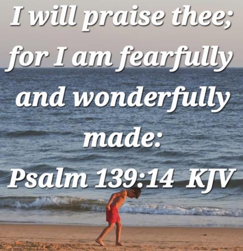 47177057-c584-4603-87e6-1d35f6979a3d