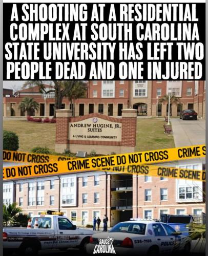 Screenshot_20260213_142301_Instagram