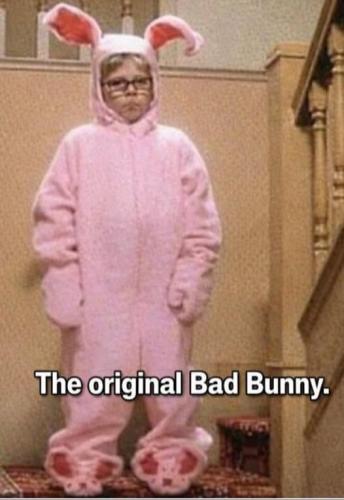 01kh19ws8t090ds4v2te7n8b8t