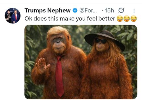 Screenshot_20260208_154606_X