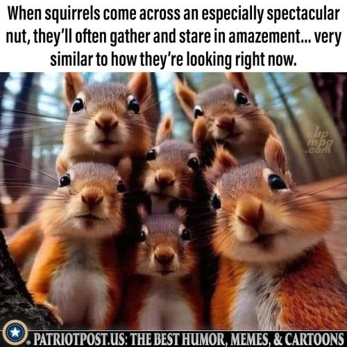 main-qimg-f1116568adddbfc1c75360d8a127bd0e