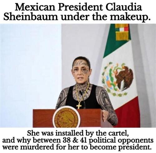 Mexican President Claudia Sheinbaum under the makeup.800px