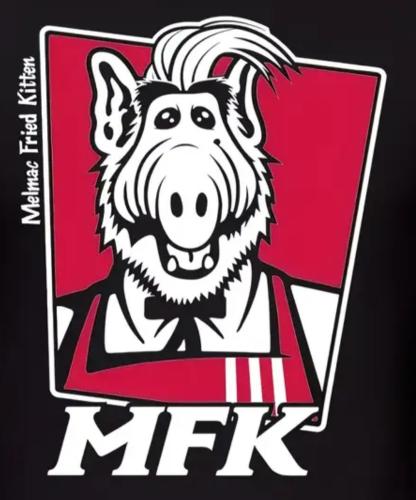 Melmacianfriedkittens