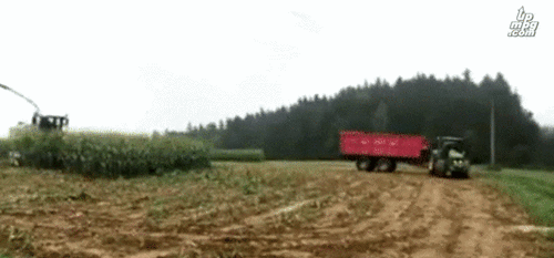 daily_gifdump_5100_41