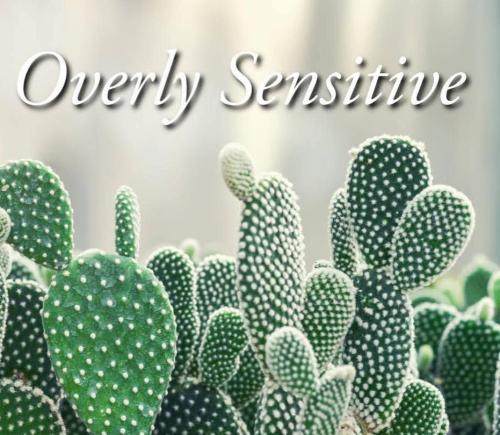 efccc44a-8cc6-4c50-bb72-08febc055fd8