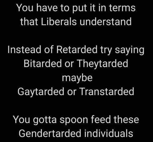 in-terms-liberals-understand